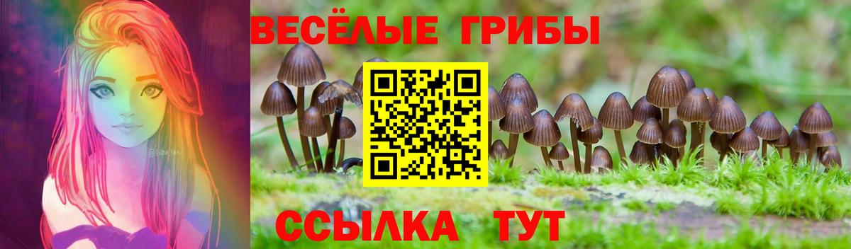 Лесозаводск  магазин  наркотиков  Вход с VPN  Псилоцибиновые грибы GOLDEN TEACHER 